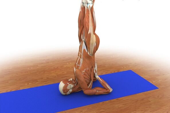 Силовое упражнение «Берёза»